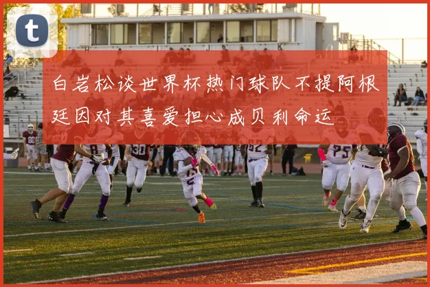 白岩松谈世界杯热门球队不提阿根廷因对其喜爱担心成贝利命运