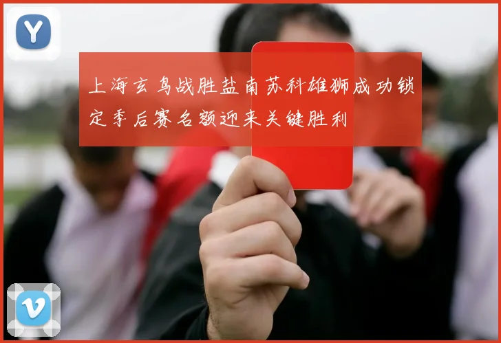 上海玄鸟战胜盐南苏科雄狮成功锁定季后赛名额迎来关键胜利
