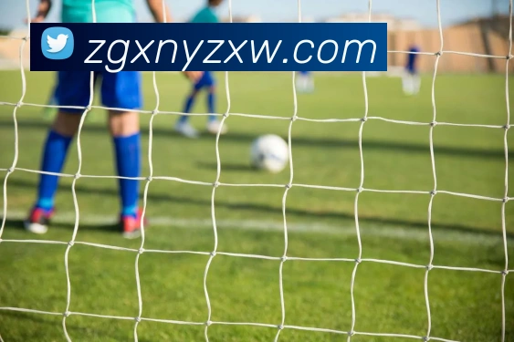 九游官方登录入口平台生态图